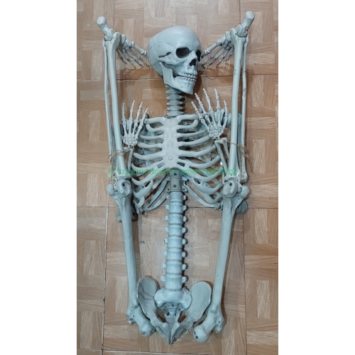 Bộ xương trang trí Halloween