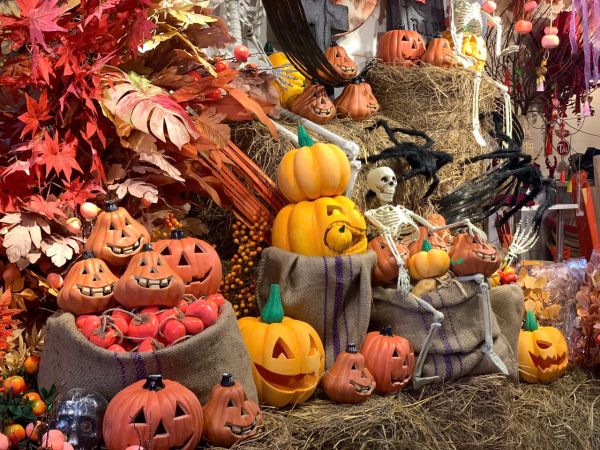 Cung cấp sỉ và lẻ Phụ kiện trang trí Halloween 2026 giá tốt