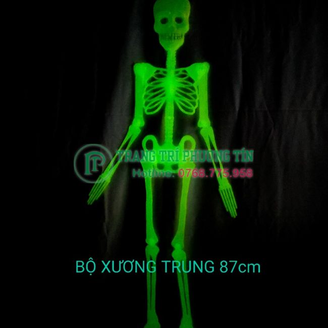 Bộ xương trang trí phát sáng