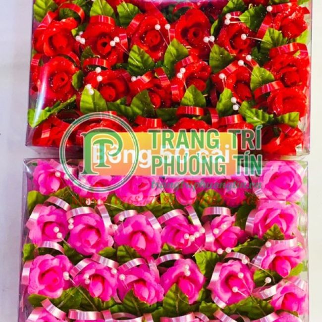 Bông voan bộ 50 cái