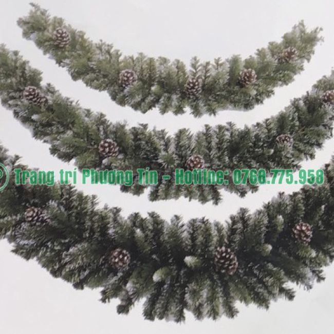 Dây mây 3 loại lá gắn trái thông
