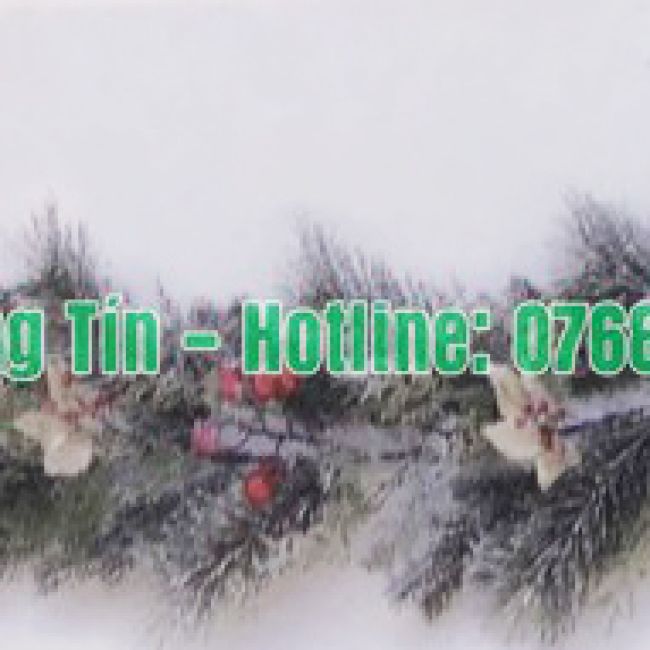 Dây trang trí lá cước đầu loa phủ tuyết