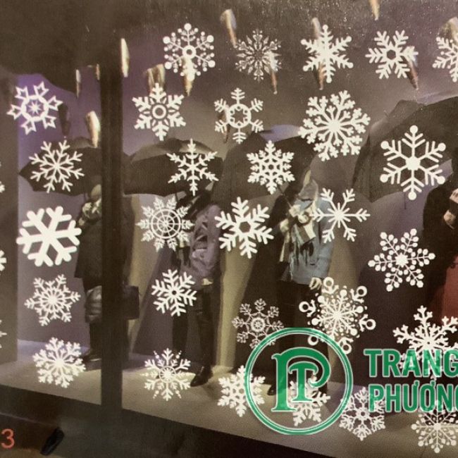 Decal mẫu hoa tuyết