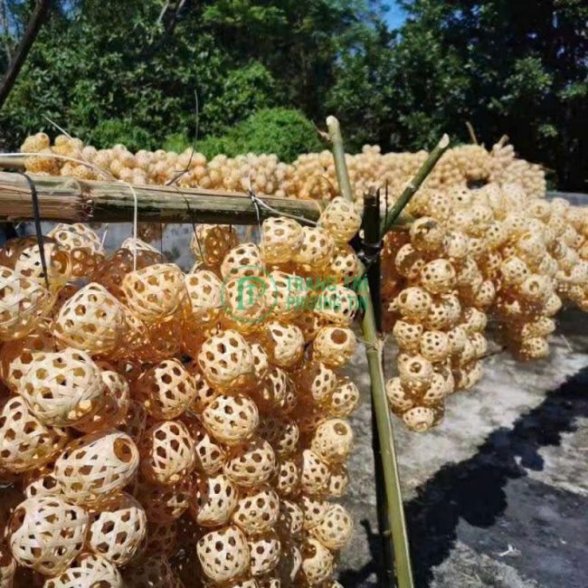 Cung cấp đèn trung thu 2025 giá sỉ