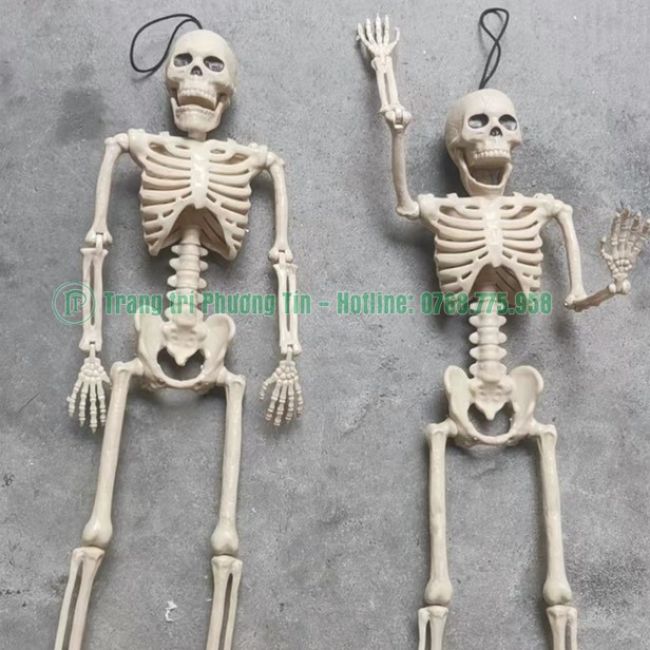 Bộ xương điều chỉnh tư thế