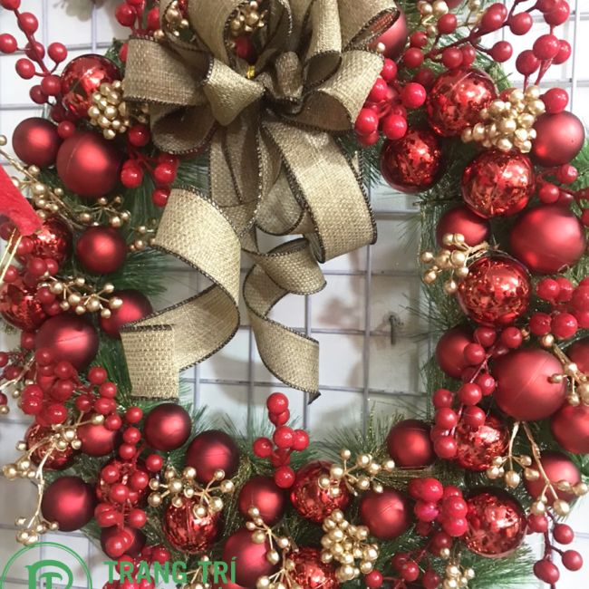 Vòng nguyệt quế nơ vàng, quả châu đỏ