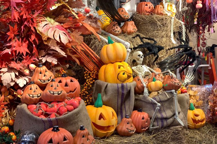 Cung cấp sỉ và lẻ Phụ kiện trang trí Halloween 2026 giá tốt