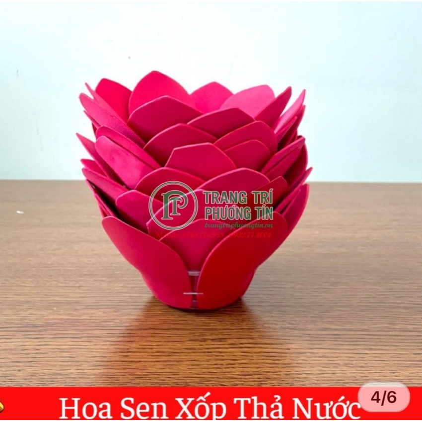 Hoa sen xốp thả nước màu hồng đậm