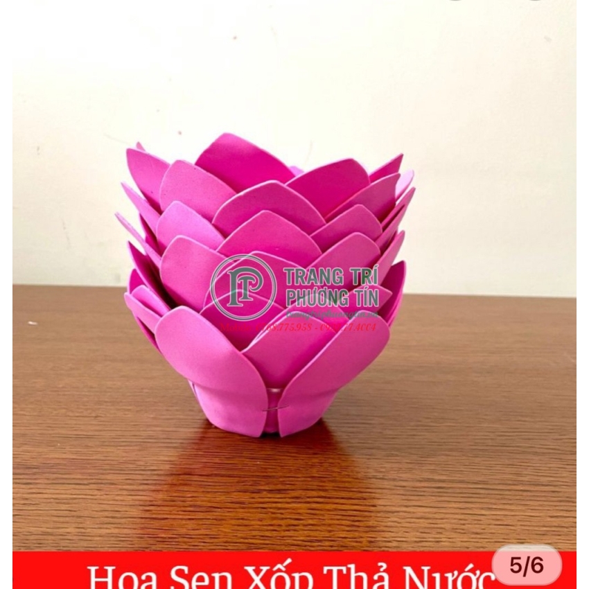 Hoa sen xốp thả nước màu hồng