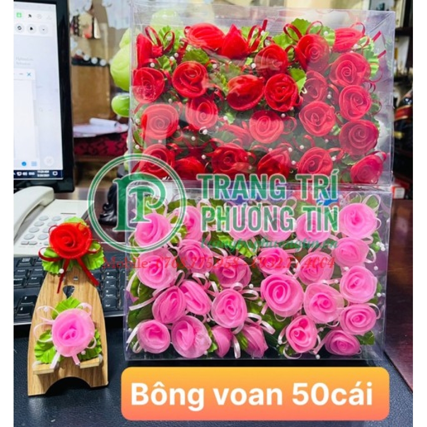 Bông voan bộ 50 cái